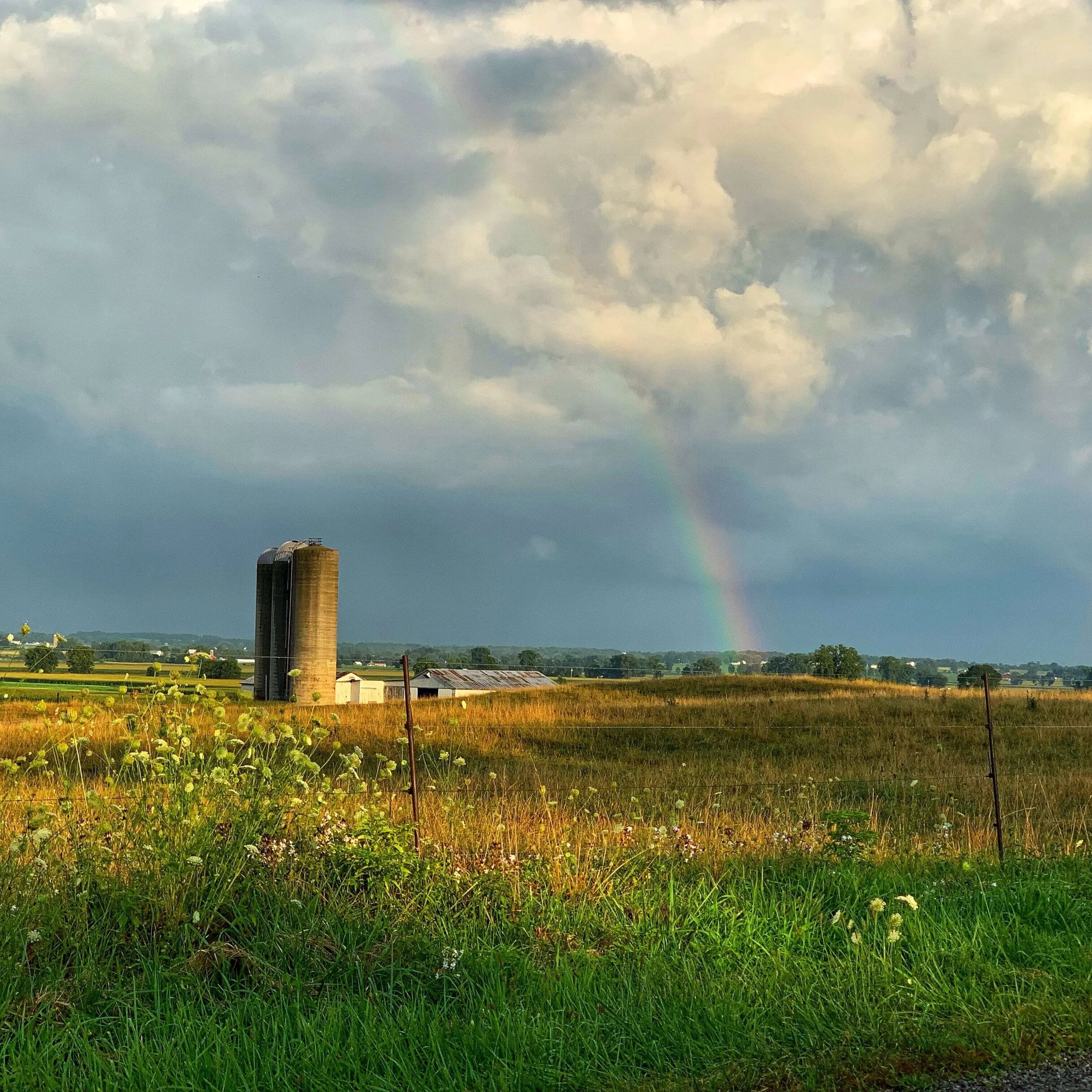 Scenic view of Indiana landscape