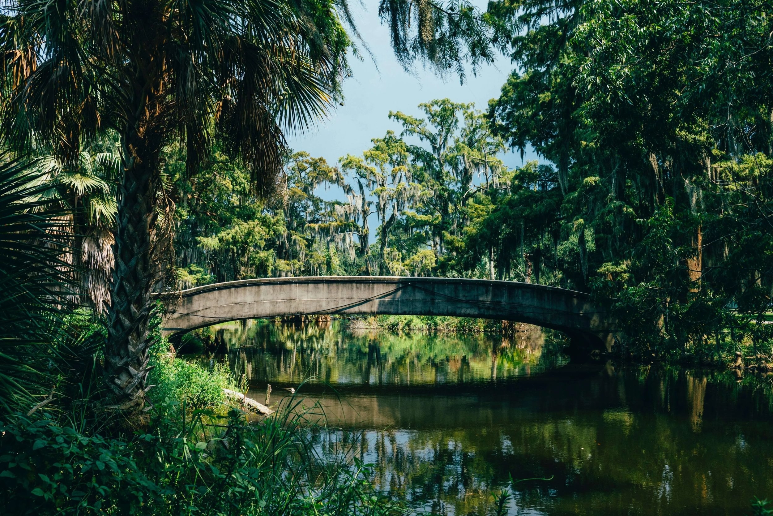 Scenic view of Louisiana landscape