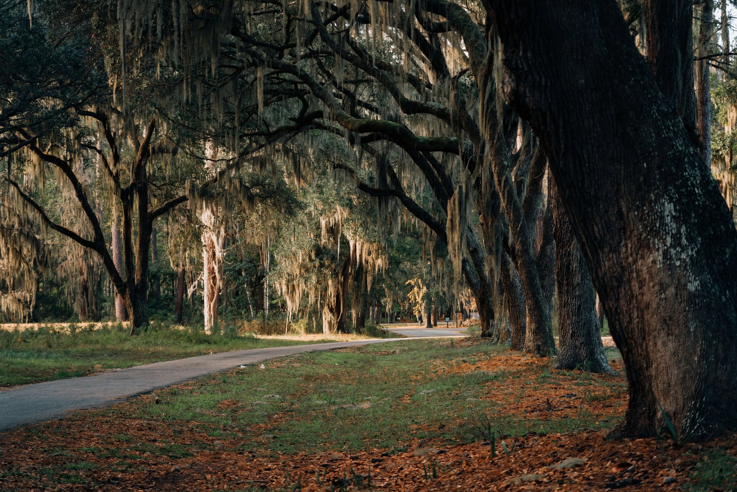 Image of South Carolina RV Camping