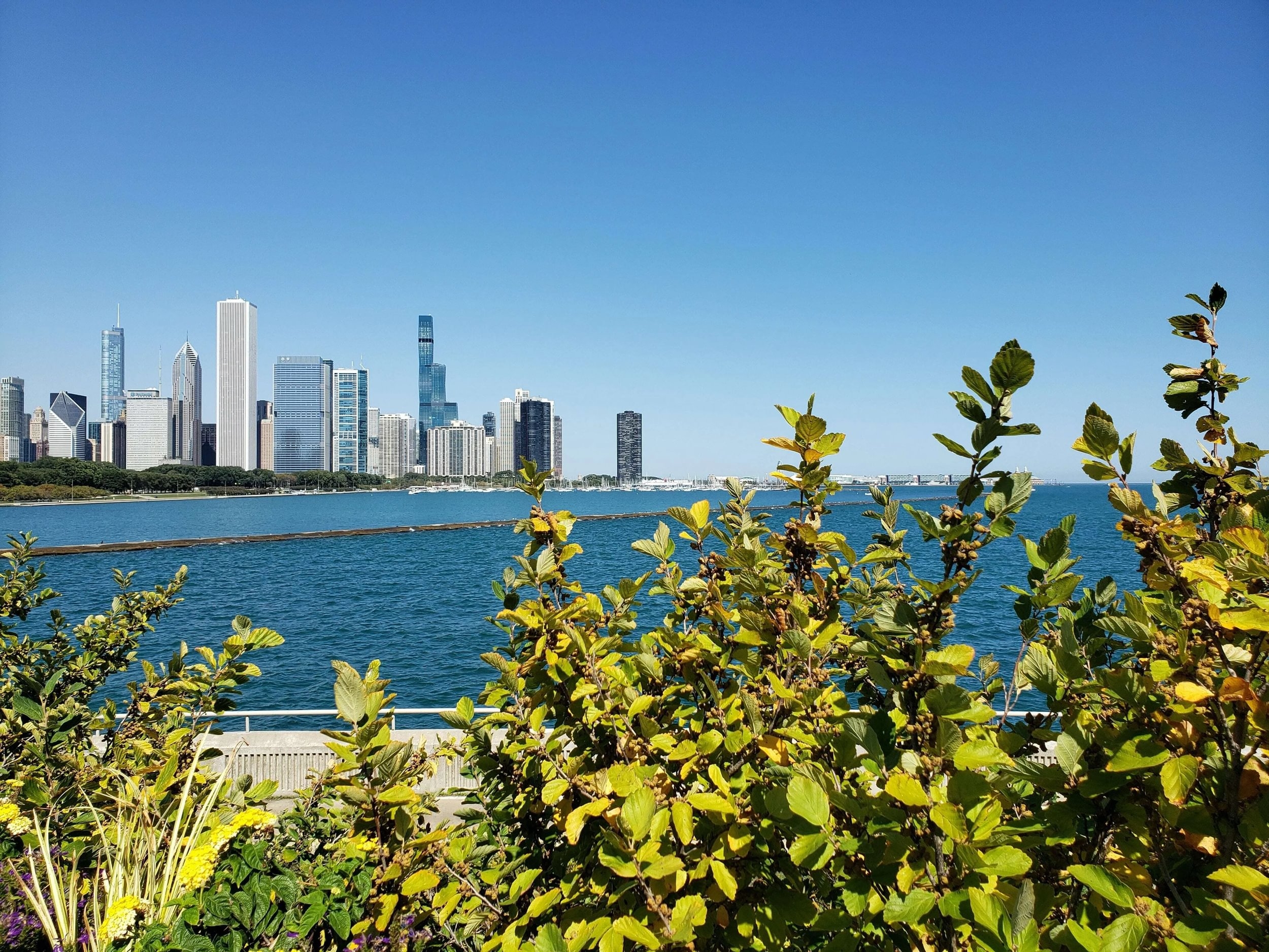 Scenic view of Illinois landscape