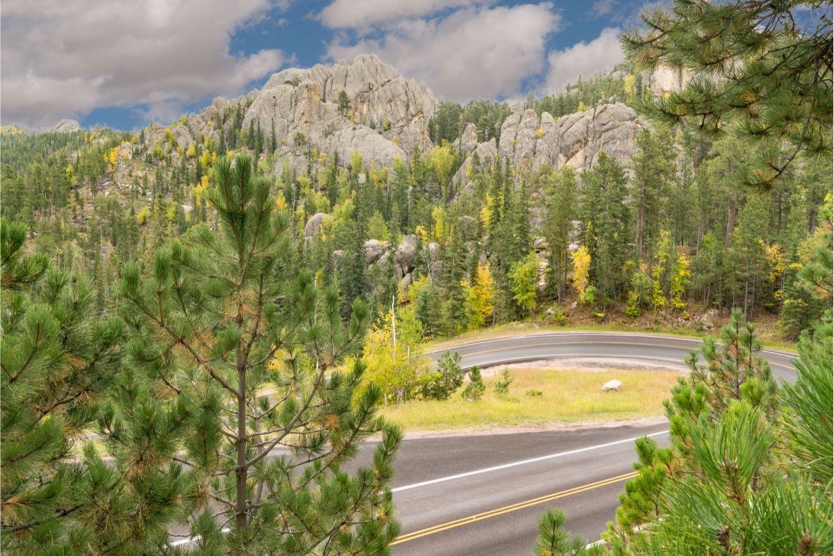 wp-content-uploads-2022-10-RV-road-trips-black-hills-needles-highway.jpg