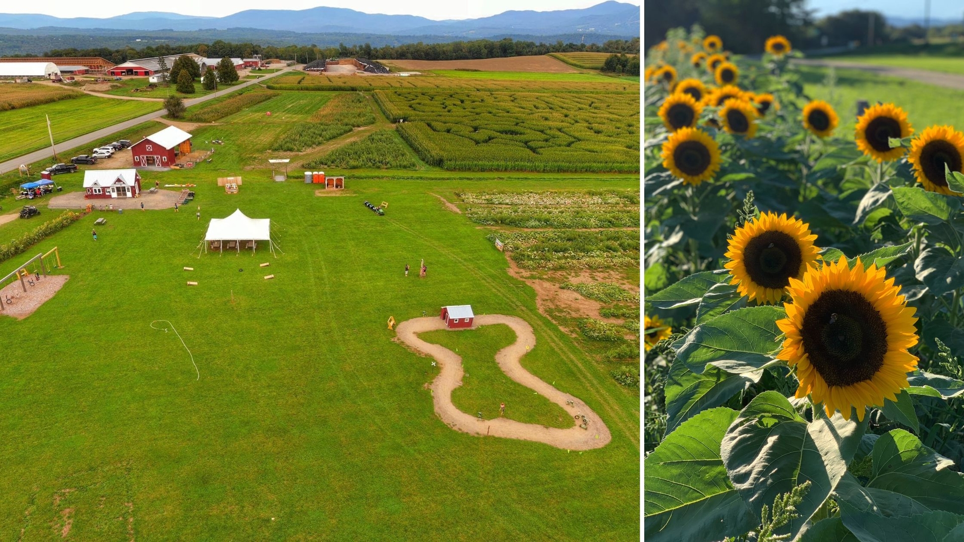 Kingdom Corn Maze.jpg