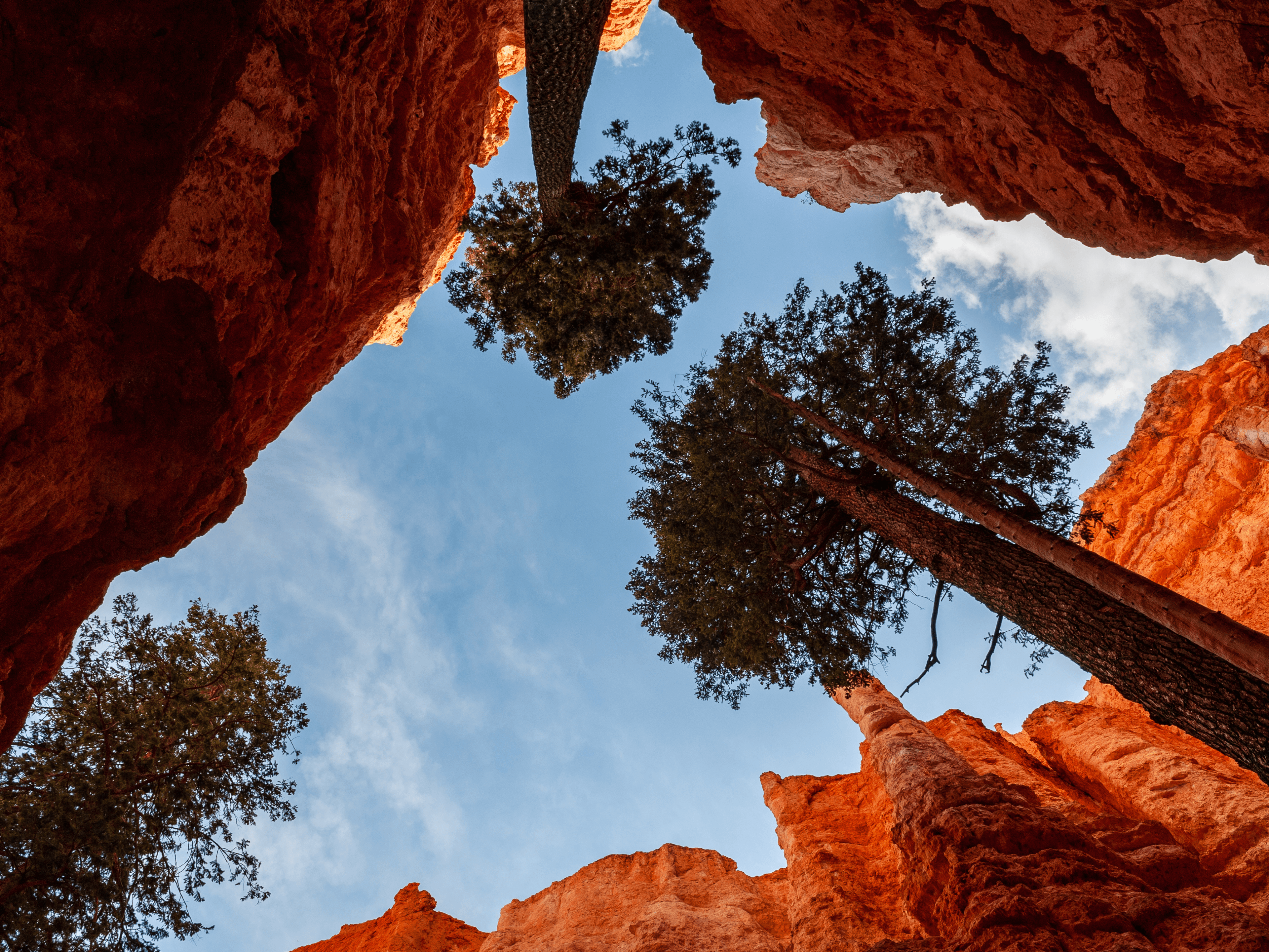 Discover the Best Hiking Trails for RV Campers in Bryce Canyon National Park