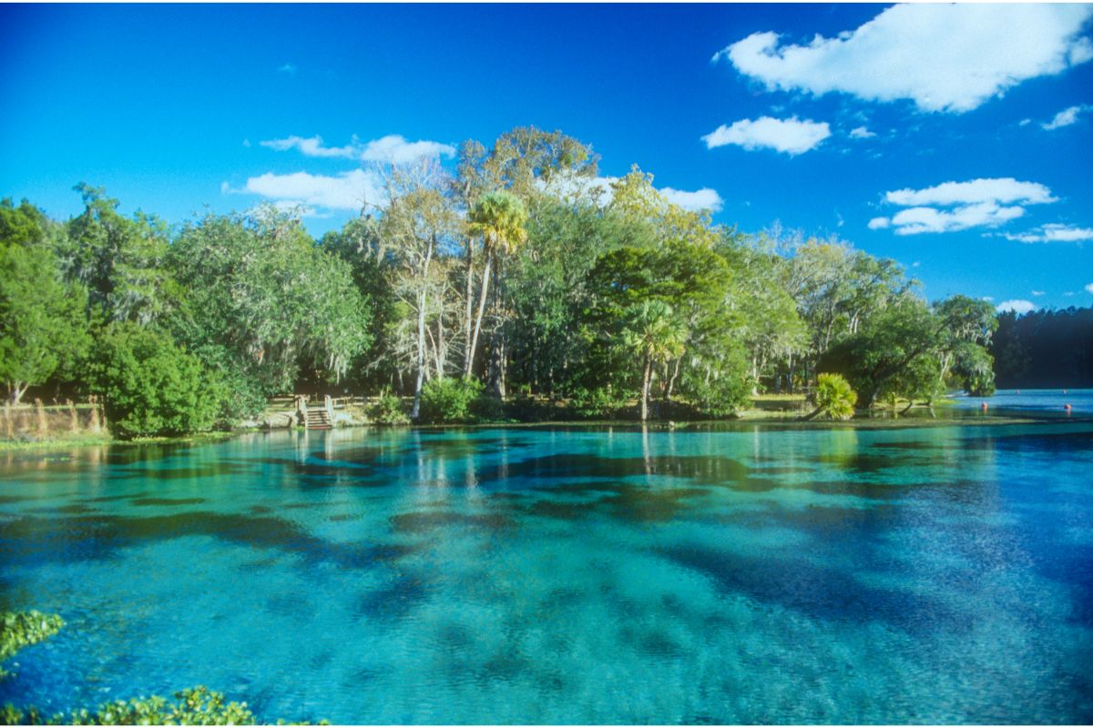 wp-content-uploads-2022-10-rv-roadtrips-florida-spring.jpg