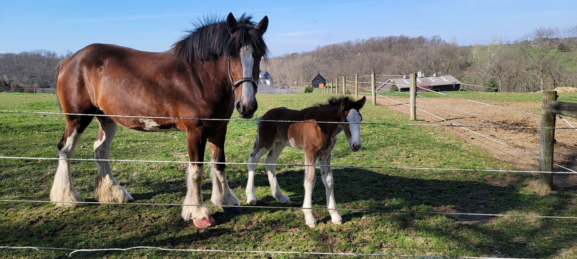 hh_blue-rock-stables_mid_433909_staci-kothman_23-04-07_90x3e9ByuwiN4BNK_16d6f78c7eff4225a2a7b3baeb6bd2b9.jpg