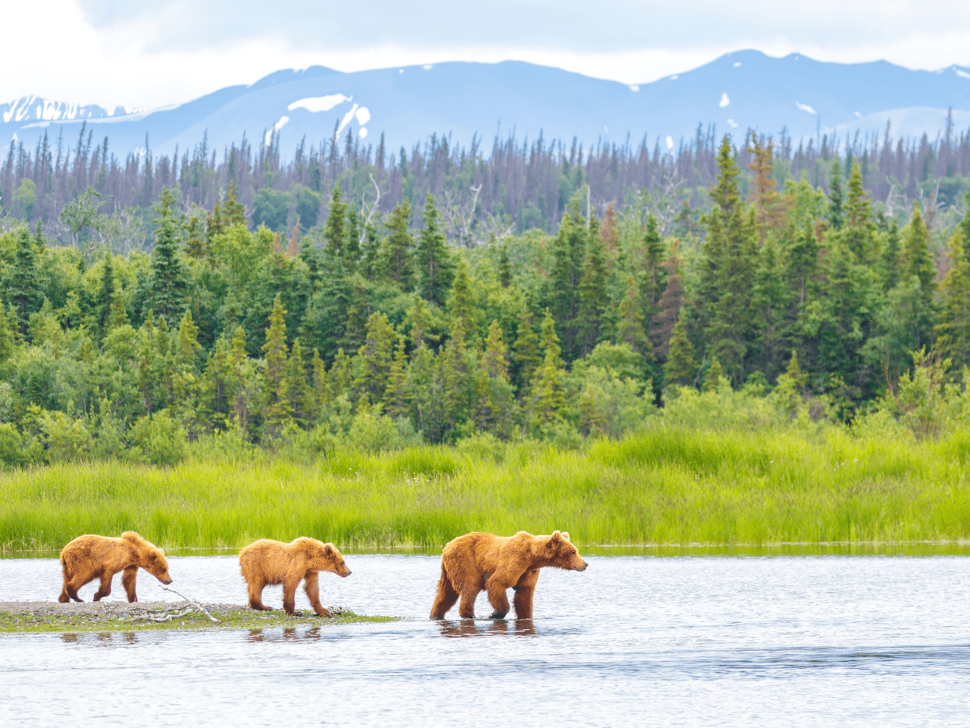 katmai.png