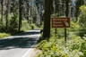 Sequoia National Park