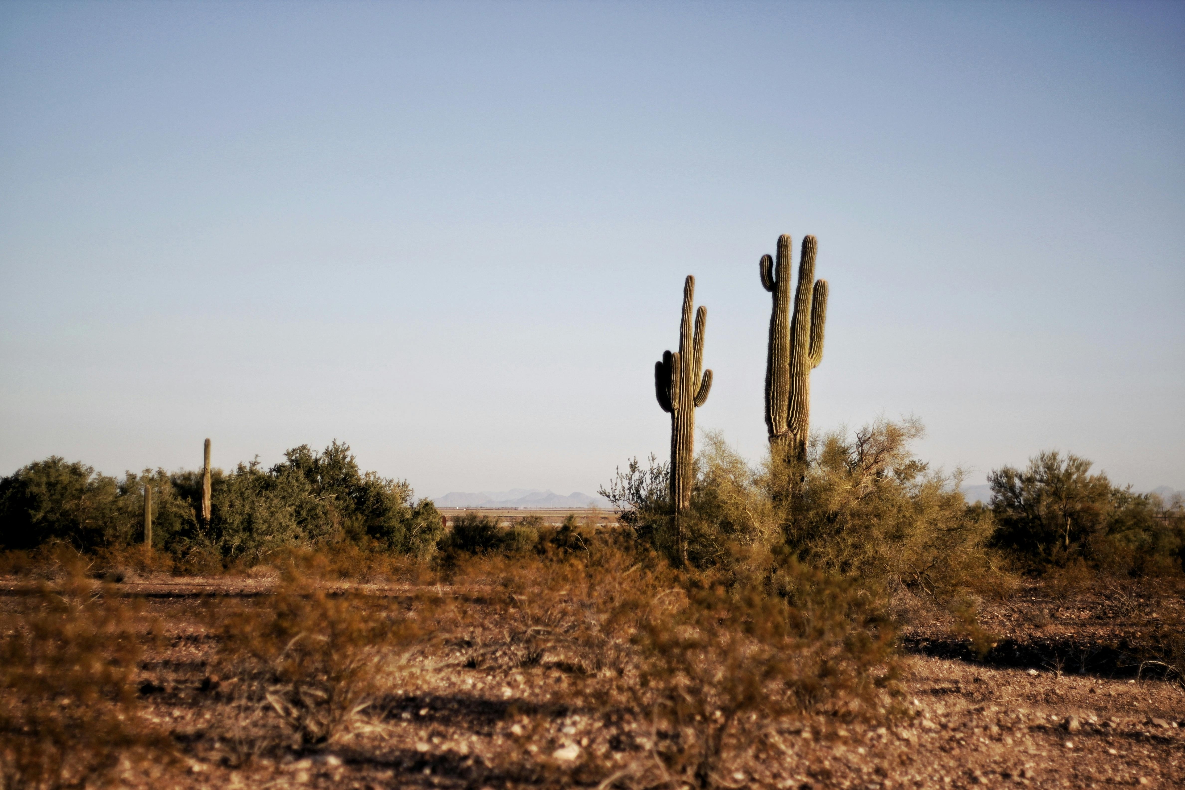 Discover the Best Hiking Trails for RV Campers in Arizona