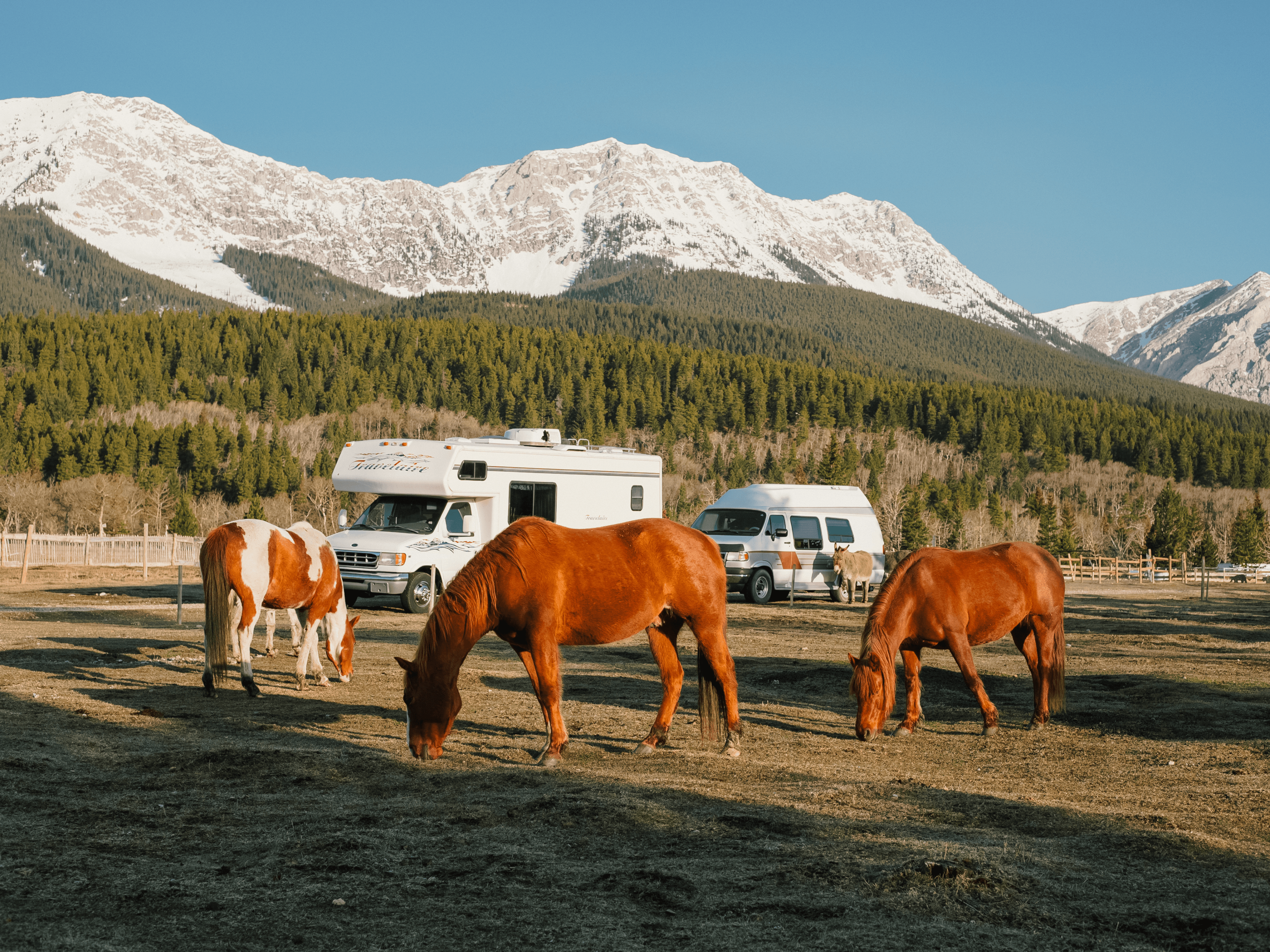 How to Find Affordable RV Campgrounds: A Complete Guide for Budget-Savvy Travelers