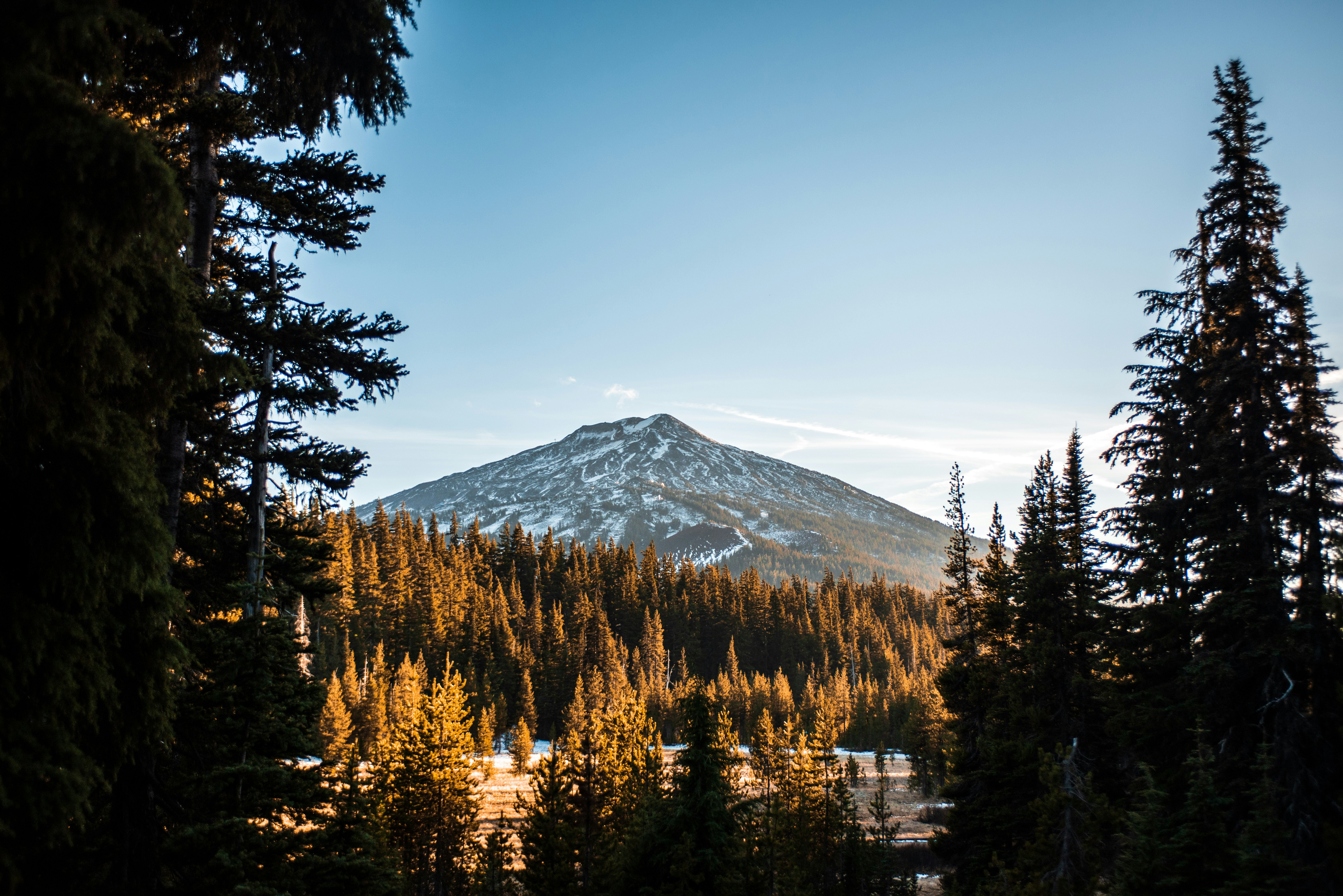 Best RV Campgrounds in Bend, Oregon: Where to Stay for Your Next Adventure